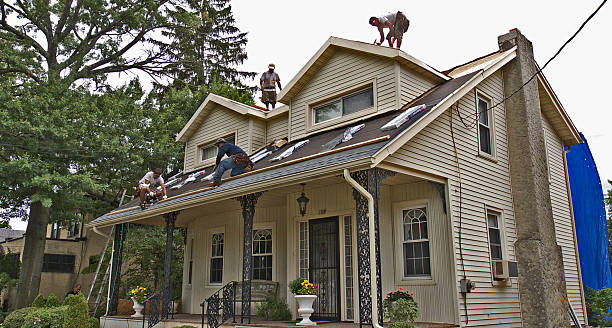 Best Commercial Roof Installation  in Carrollwood, FL