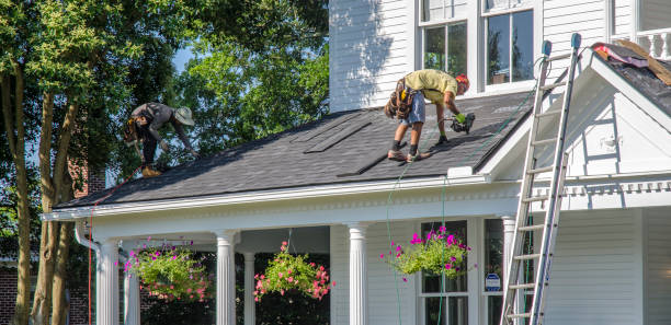 Professional Roofing Contractor in Carrollwood, FL